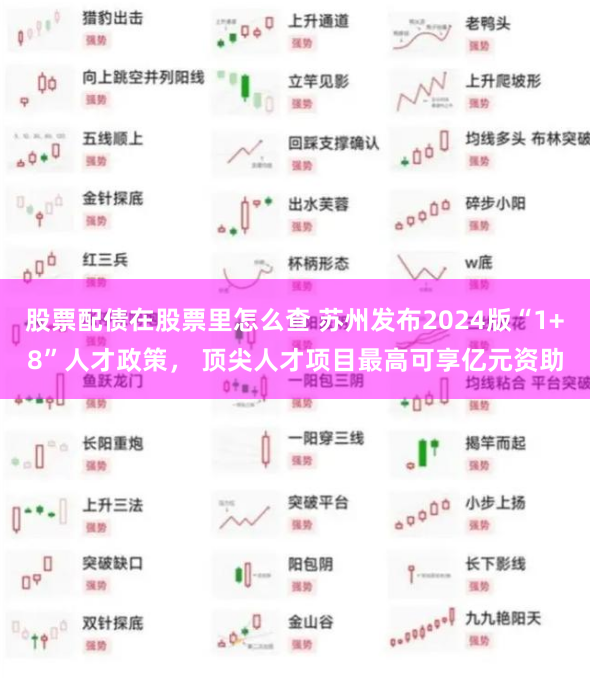 股票配债在股票里怎么查 苏州发布2024版“1+8”人才政策， 顶尖人才项目最高可享亿元资助