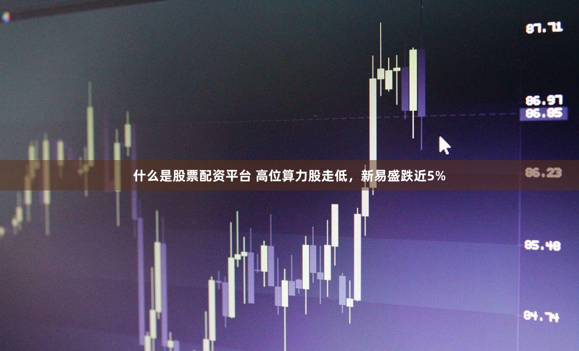 什么是股票配资平台 高位算力股走低，新易盛跌近5%