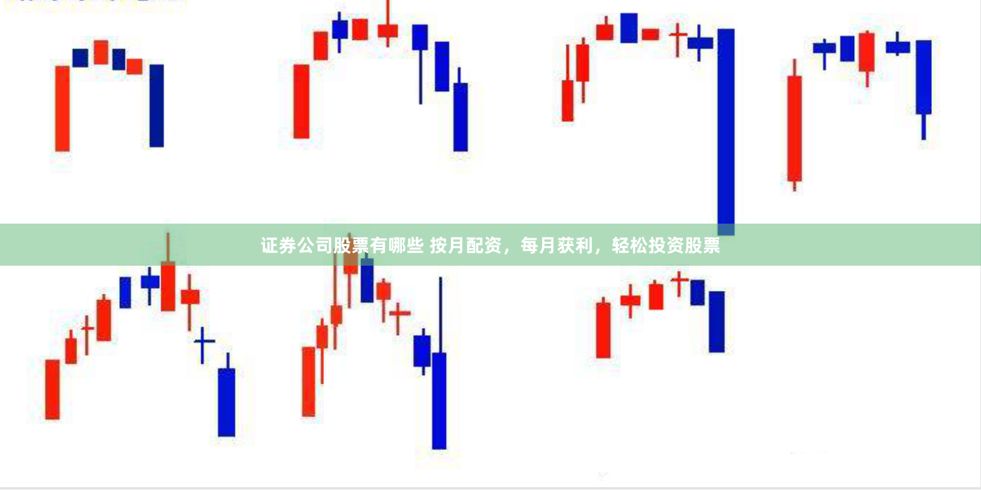 证券公司股票有哪些 按月配资，每月获利，轻松投资股票