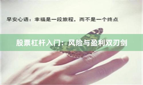 股票杠杆入门:风险与盈利双刃剑
