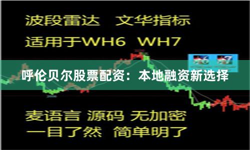 呼伦贝尔股票配资：本地融资新选择