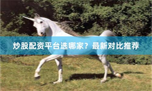 炒股配资平台选哪家?最新对比推荐