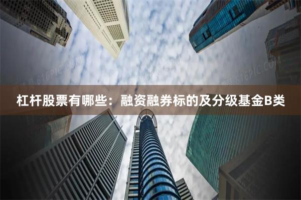 杠杆股票有哪些：融资融券标的及分级基金B类