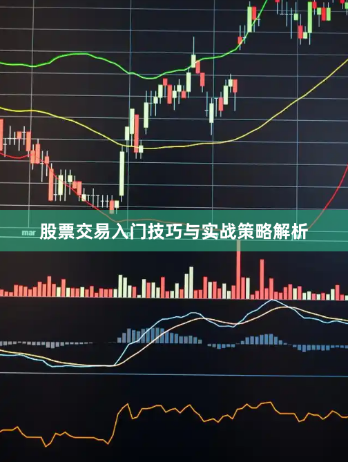 股票交易入门技巧与实战策略解析