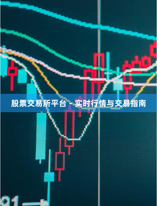 股票交易所平台 - 实时行情与交易指南